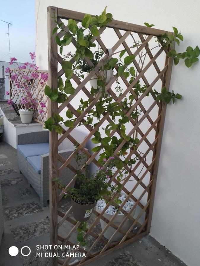 Appartamenti La Gina & La Palmira Otranto Exterior foto